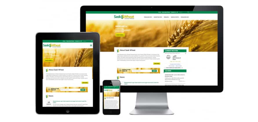 Custom WordPress Website Design for Sask Wheat