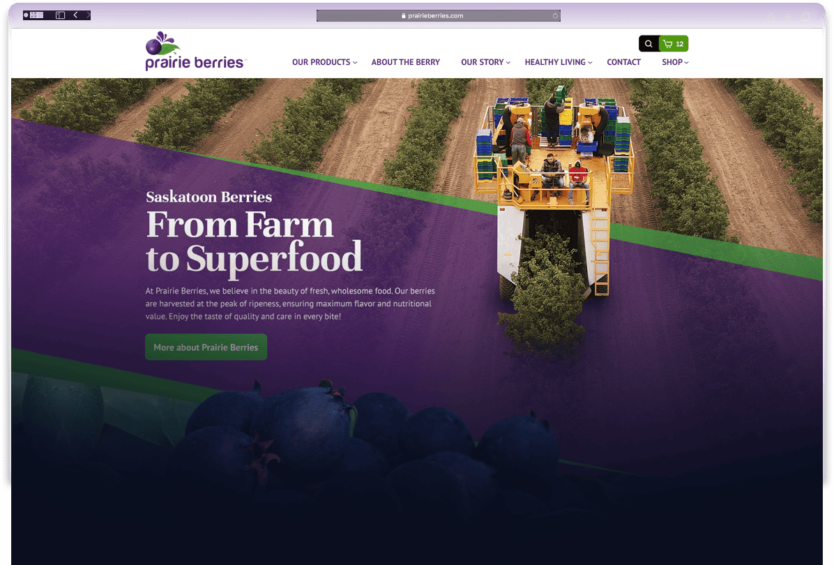 website-prairie-berries-screenshot